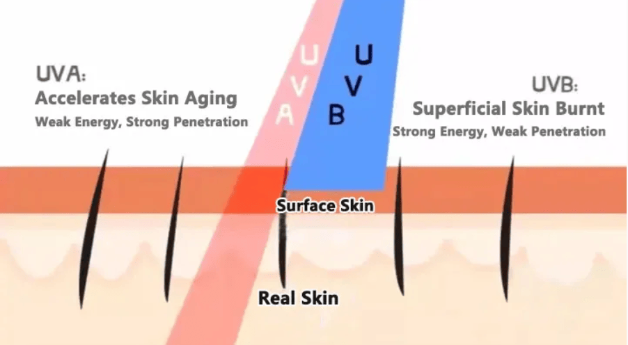 Sun Blocking Chemicals: Chemical and Mineral Sunscreen